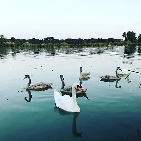 Kisduna Garden Vendeghaz بيت للعطل *